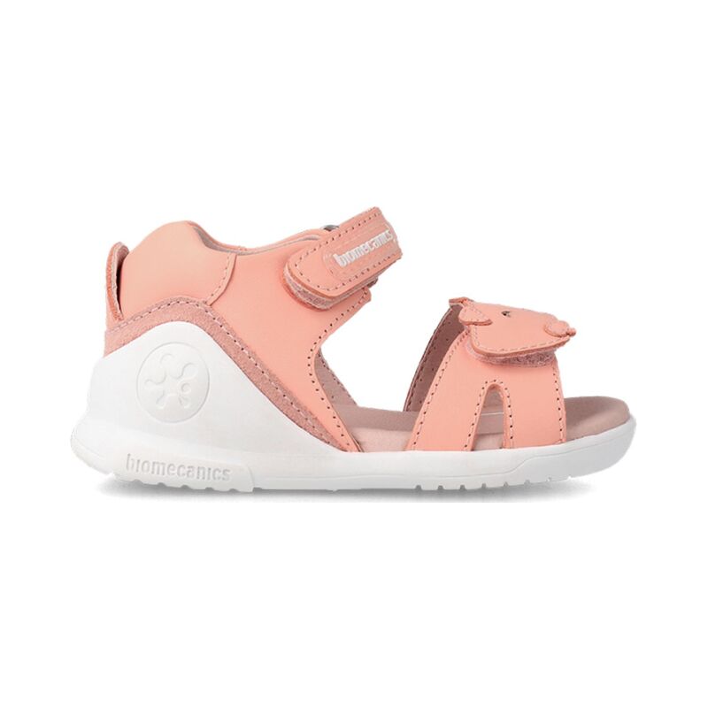 BIOMECANICS 232161 Salmon