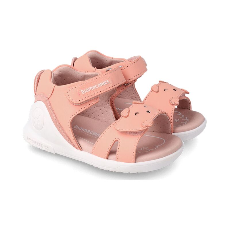 BIOMECANICS 232161 Salmon