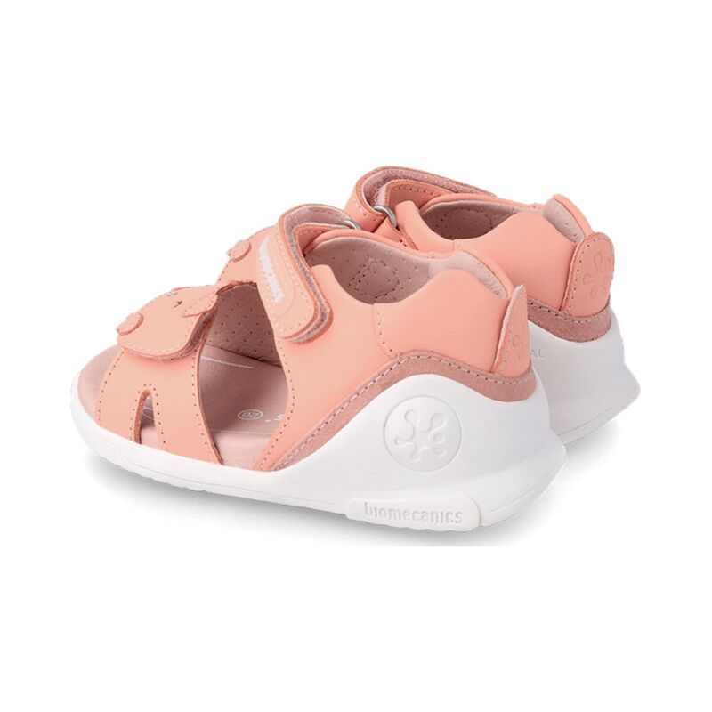 BIOMECANICS 232161 Salmon