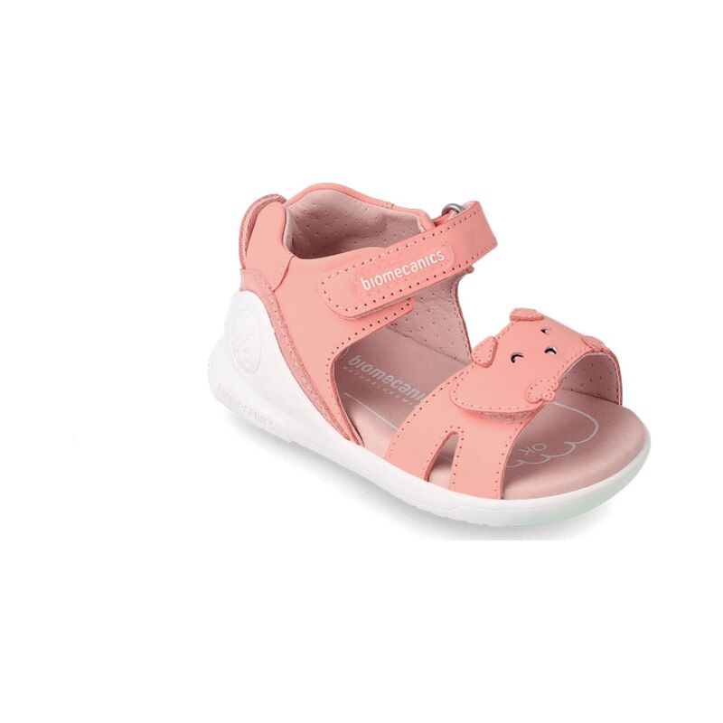 BIOMECANICS 232161 Salmon