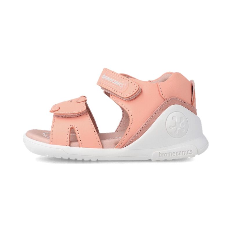 BIOMECANICS 232161 Salmon
