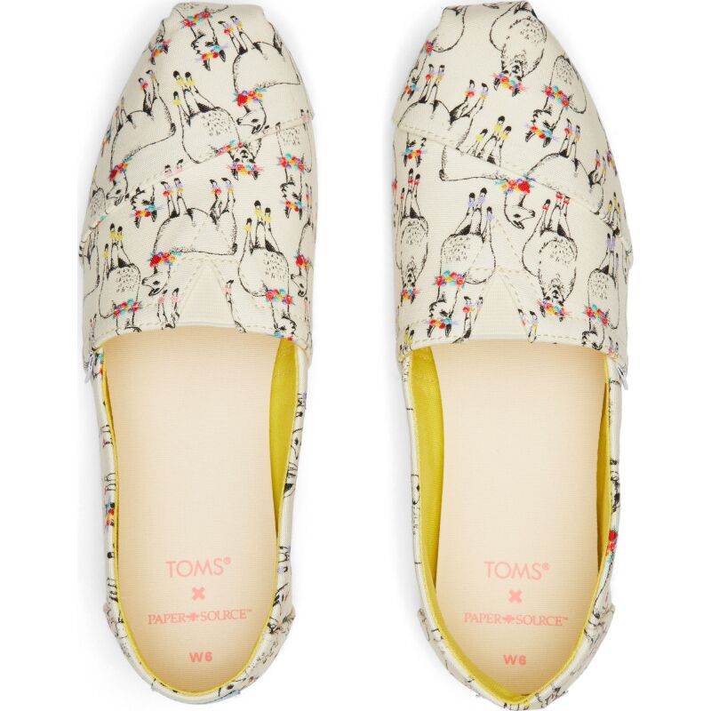 TOMS LIAMAS PRINT WHITE