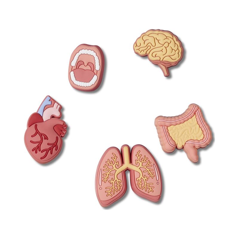Crocs™ ANATOMY 101 5 PACK G1130600-MU