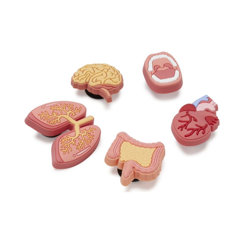 Crocs™ ANATOMY 101 5 PACK G1130600-MU