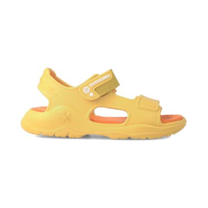 BIOMECANICS 232290 Yema